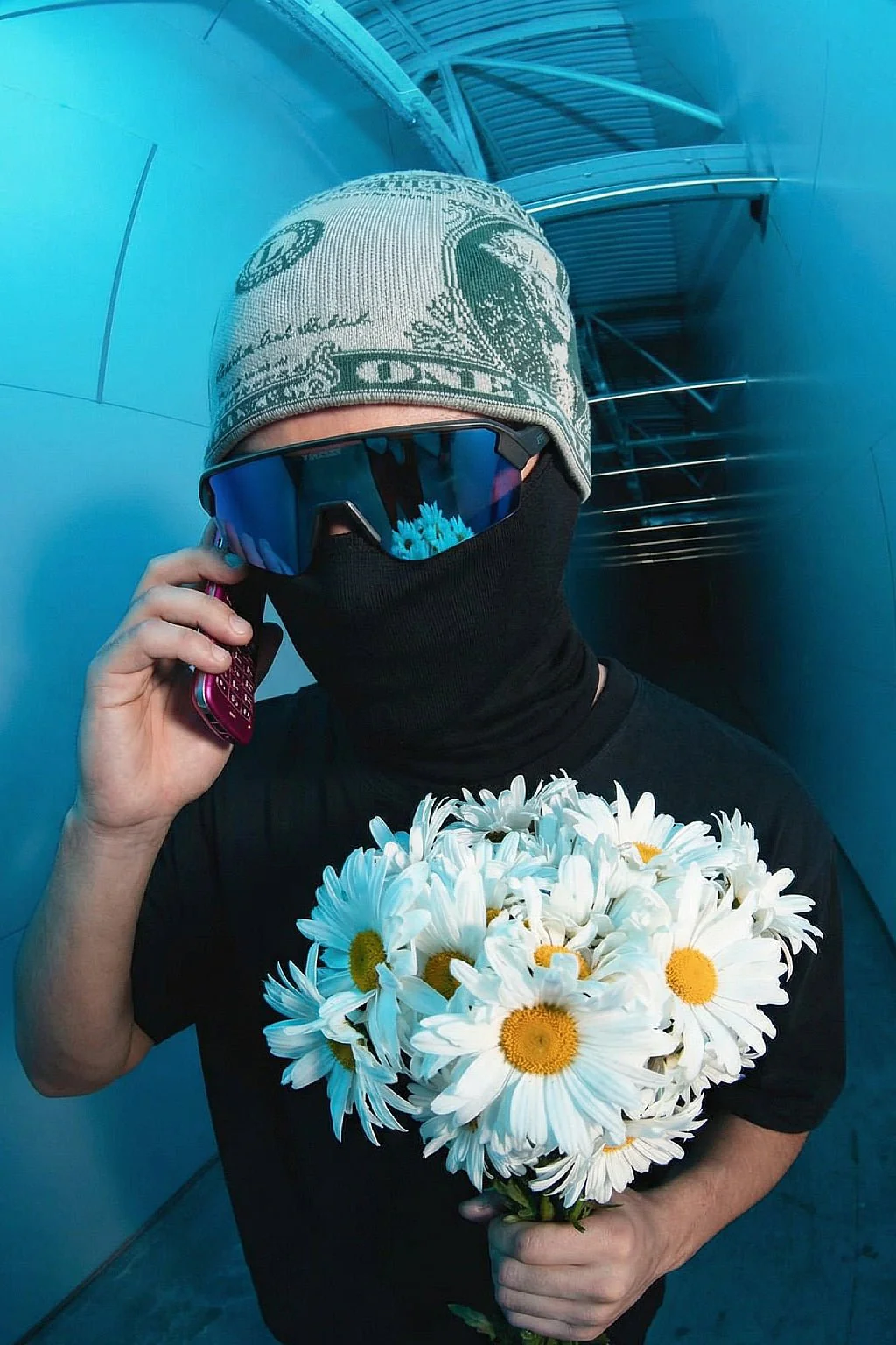 Bonnet dollar - Image 3