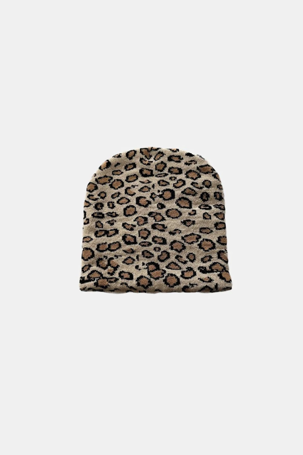 Bonnet leopard - Image 6